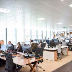 Office room with people working in front of the computer