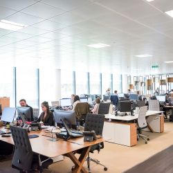 Office room with people working in front of the computer